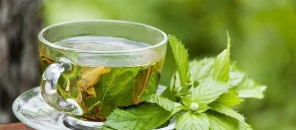 decoction koprive za parazite