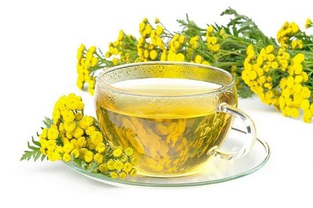 tansy decoction za parazite